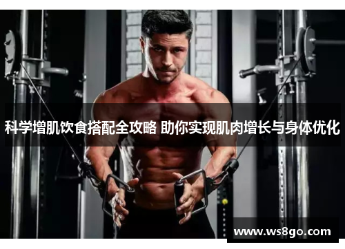 科学增肌饮食搭配全攻略 助你实现肌肉增长与身体优化